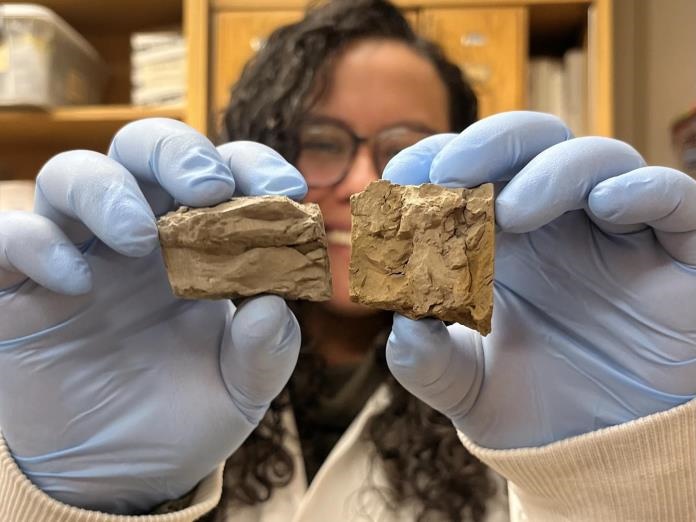 Algunas zonas tropicales podrían tener un calentamiento mayor debido al cambio climático