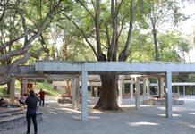 Manantiales de Colomos en riesgo: Jalisco pierde juicio clave frente a intereses ejidales Manantiales de Colomos en riesgo: Jalisco pierde juicio clave frente a intereses ejidales