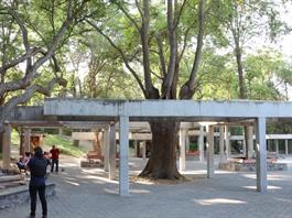 Manantiales de Colomos en riesgo: Jalisco pierde juicio clave frente a intereses ejidales