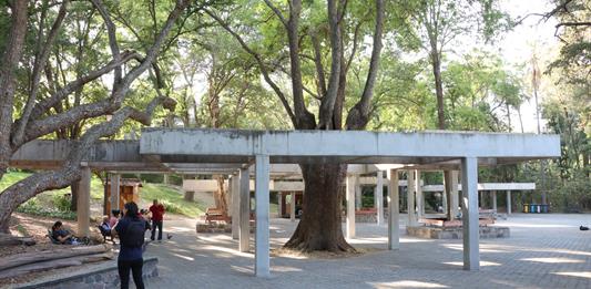 Manantiales de Colomos en riesgo: Jalisco pierde juicio clave frente a intereses ejidales