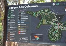 Lemus promete ganar juicios por Colomos y frenar privatización del bosque