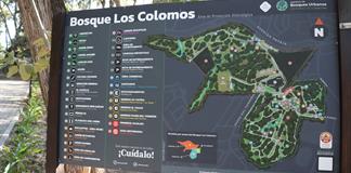 Lemus promete ganar juicios por Colomos y frenar privatización del bosque Lemus promete ganar juicios por Colomos y frenar privatización del bosque