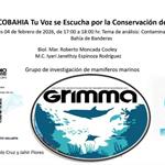 Ecobahía - 04 de Febrero 2026