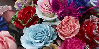 El viaje de millones de rosas de Ecuador: de los Andes al mundo para celebrar San Valent&iacute;n