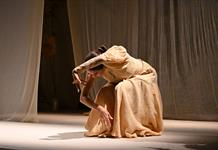 Obras sobre la naturaleza, la masculinidad y el Alzheimer llegan al Teatro Alarife Martín Casillas