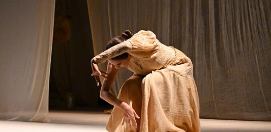 Obras sobre la naturaleza, la masculinidad y el Alzheimer llegan al Teatro Alarife Martín Casillas