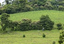 Universidad Kaiserslautern alerta sobre toxicidad de plaguicidas en agricultura