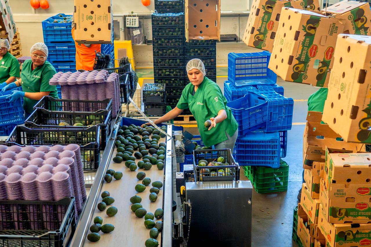 El aguacate mexicano, la otra estrella que domina la Super Bowl