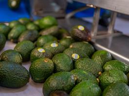 El aguacate mexicano, la otra estrella que domina la Super Bowl