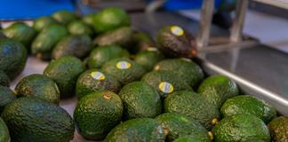 El aguacate mexicano, la otra estrella que domina la Super Bowl