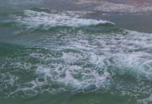 Gobierno de M&eacute;xico acuerda medidas para conservar vaquita marina