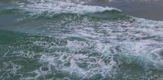 Gobierno de M&eacute;xico acuerda medidas para conservar vaquita marina