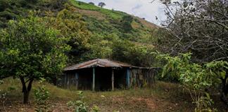 Inquietante hallazgo en la b&uacute;squeda de 10 mineros secuestrados en M&eacute;xico