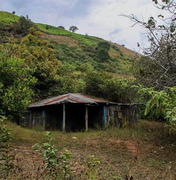 Inquietante hallazgo en la b&uacute;squeda de 10 mineros secuestrados en M&eacute;xico