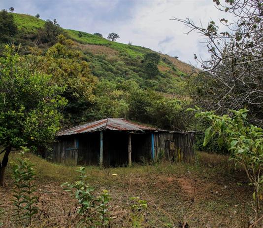 Inquietante hallazgo en la b&uacute;squeda de 10 mineros secuestrados en M&eacute;xico