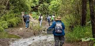 Denunciar da&ntilde;os ambientales en regiones de Jalisco sigue siendo riesgoso