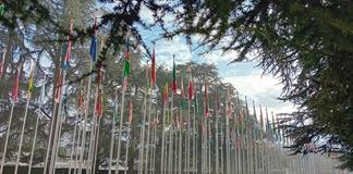 La sede europea de la ONU lanza un espacio web para recoger donaciones p&uacute;blicas y privadas