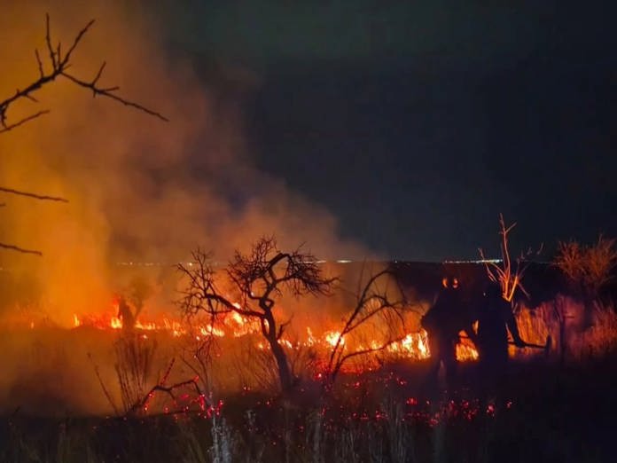 Más peregrinos y menos basura: Así concluyó la peregrinación a San Juan de los Lagos 2026