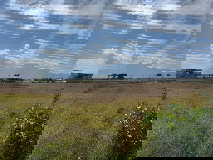 Anuncian la construcción del IMSS en 2026