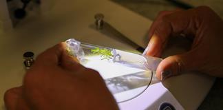 Unesco presenta un proyecto para acelerar en 3 a&ntilde;os la inclusi&oacute;n de la mujer en la ciencia