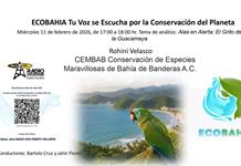 Ecobahía - 11 de Febrero del 2026