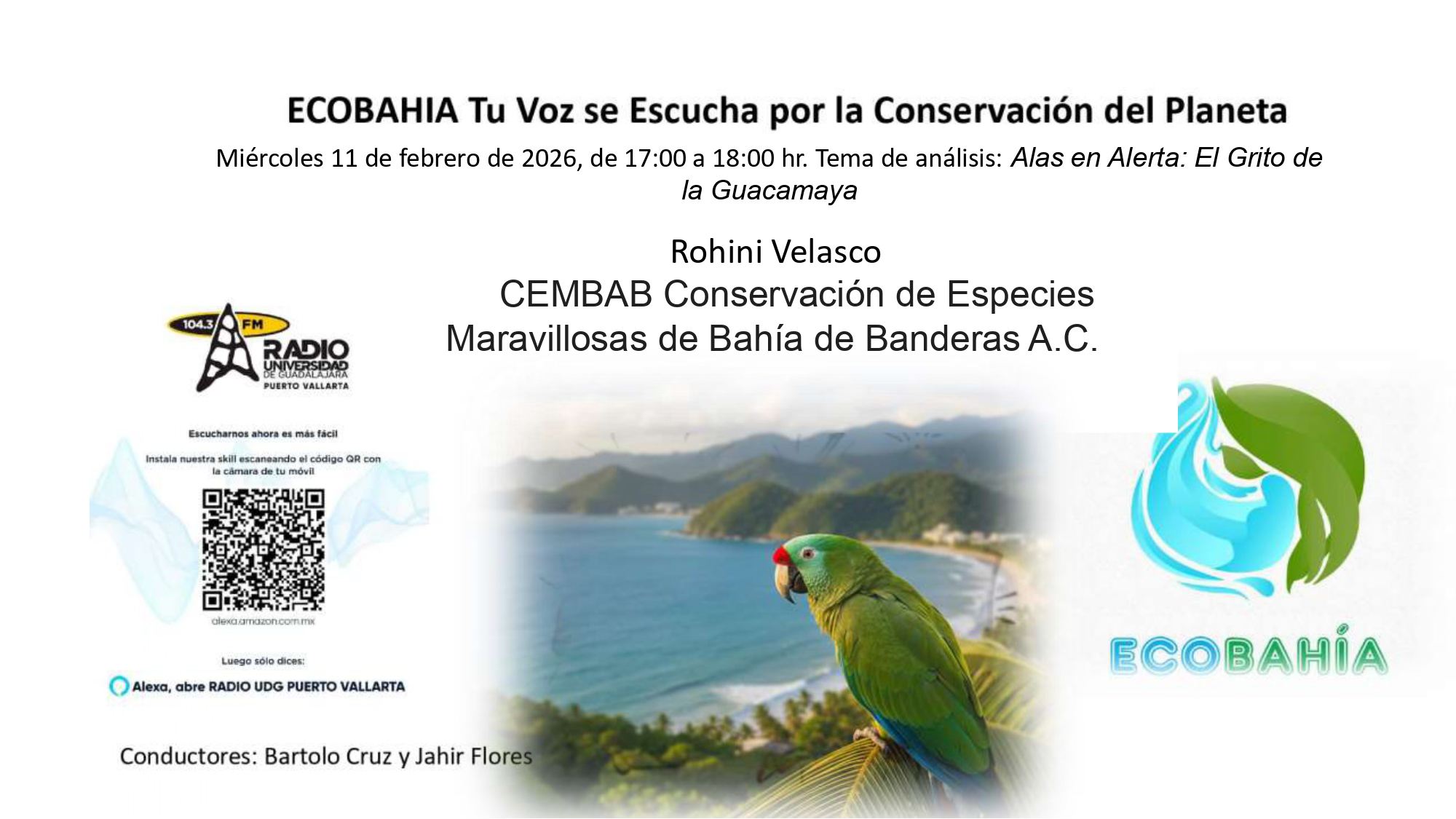 Ecobahía - 11 de Febrero del 2026