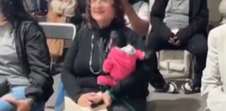 Profepa abre denuncia penal tras difusi&oacute;n de video donde aparece mono ara&ntilde;a