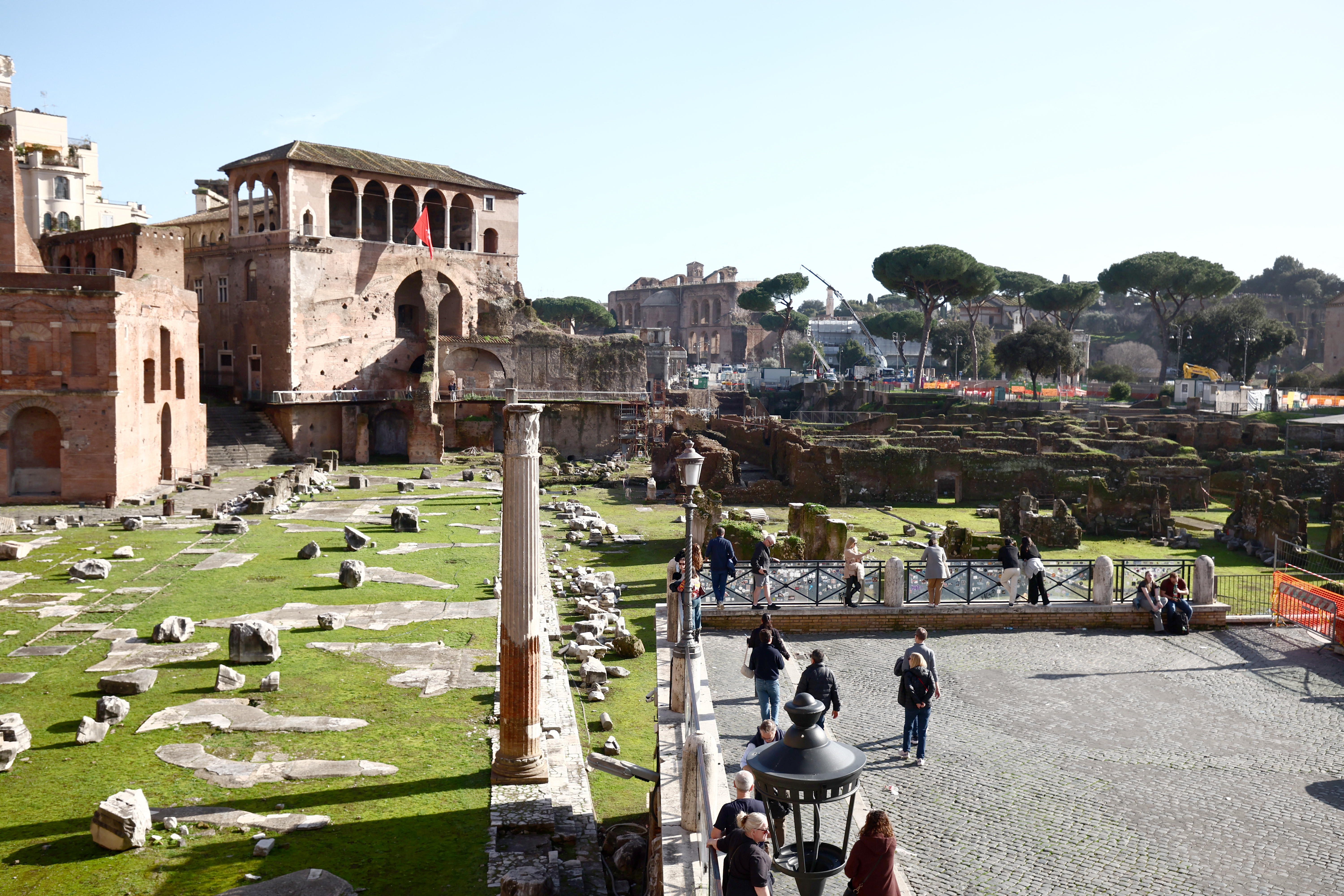 Derriban algunos de los emblemáticos pinos cerca del Coliseo de Roma
