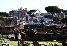 Derriban algunos de los emblem&aacute;ticos pinos cerca del Coliseo de Roma