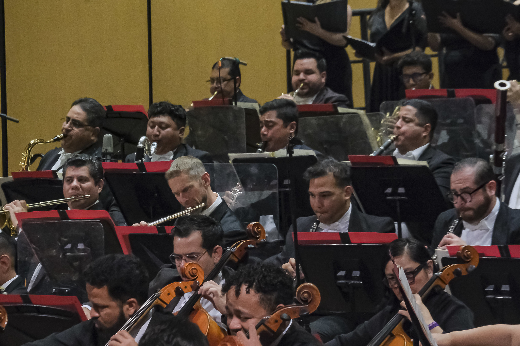 El legado de Beethoven sonará en el tercer programa de la Orquesta Filarmónica de Jalisco