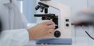 Vesículas del tejido graso de la próstata influyen en evolución del cáncer, según estudio Vesículas del tejido graso de la próstata influyen en evolución del cáncer, según estudio