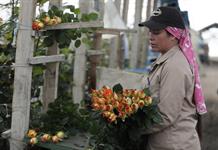 El salario m&iacute;nimo en Colombia, una discusi&oacute;n que trasciende los derechos laborales