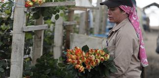 El salario m&iacute;nimo en Colombia, una discusi&oacute;n que trasciende los derechos laborales