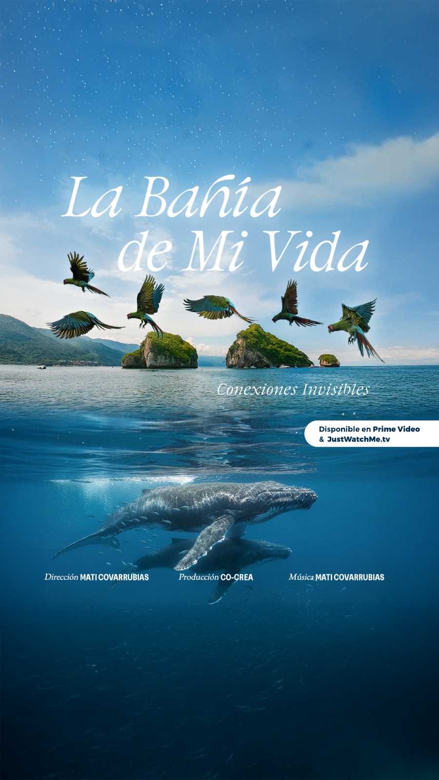 Mati Covarrubias convierte el duelo en cine y conciencia ambiental Mati Covarrubias convierte el duelo en cine y conciencia ambiental