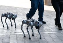 Perros robots reforzarán la seguridad durante los partidos del Mundial en Nuevo León Perros robots reforzarán la seguridad durante los partidos del Mundial en Nuevo León