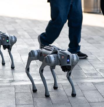 Perros robots reforzarán la seguridad durante los partidos del Mundial en Nuevo León Perros robots reforzarán la seguridad durante los partidos del Mundial en Nuevo León