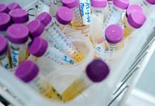 Detectan en niños toxina perjudicial para la reproducción