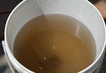 Regidor pide que casas sin agua limpia no paguen al SIAPA Regidor pide que casas sin agua limpia no paguen al SIAPA