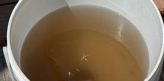 Regidor pide que casas sin agua limpia no paguen al SIAPA Regidor pide que casas sin agua limpia no paguen al SIAPA