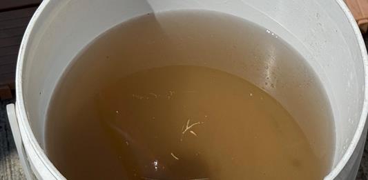 Aprueban descuento del 80% en recibos del SIAPA por agua turbia