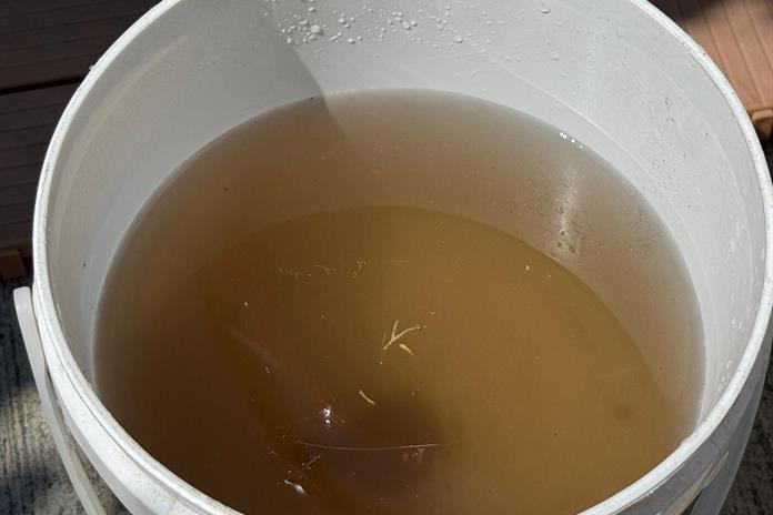 Regidor pide que casas sin agua limpia no paguen al SIAPA Regidor pide que casas sin agua limpia no paguen al SIAPA