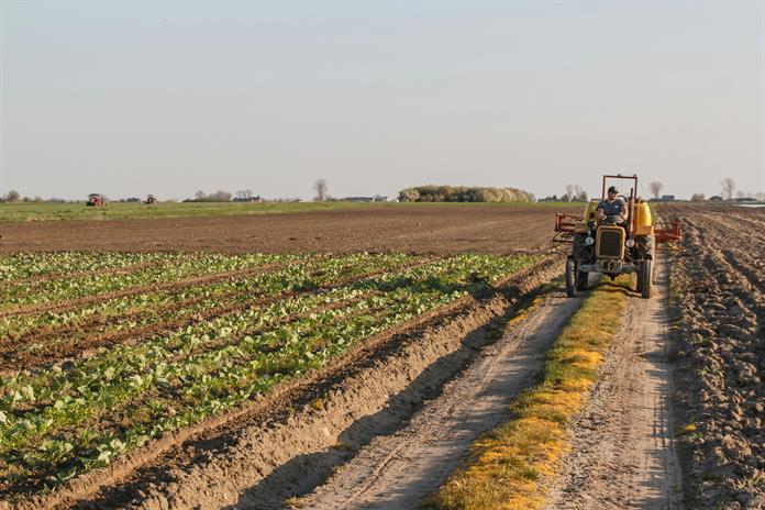 Los agricultores denuncian que la guerra de Irán amenaza seguridad alimentaria mundial Los agricultores denuncian que la guerra de Irán amenaza seguridad alimentaria mundial