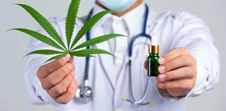 Así funciona la marihuana medicinal Así funciona la marihuana medicinal