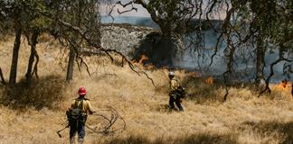 La sequía y fuertes vientos agravan control de más de 200 incendios en Florida y Georgia La sequía y fuertes vientos agravan control de más de 200 incendios en Florida y Georgia