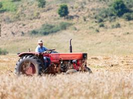 IICA urge fortalecer sistemas agroalimentarios en Américas para seguridad alimentaria global IICA urge fortalecer sistemas agroalimentarios en Américas para seguridad alimentaria global