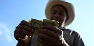 Al puro cash o trueque, bulle un popular mercado de animales en El Salvador Al puro cash o trueque, bulle un popular mercado de animales en El Salvador