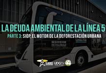 La deuda ambiental de la L5 | Parte 3: SIOP, el motor de la deforestación urbana