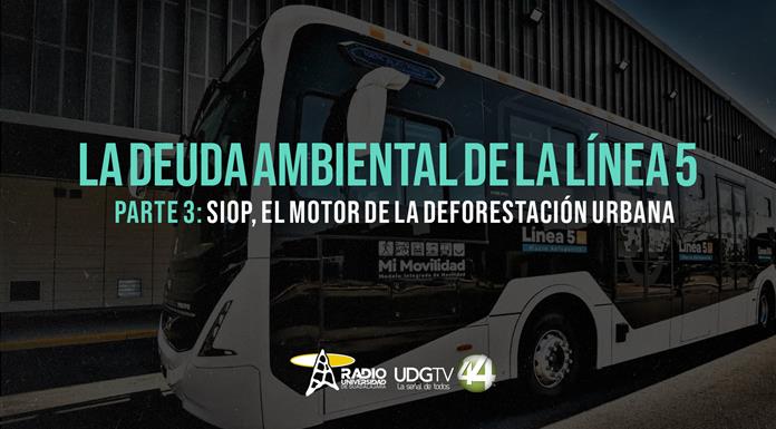 La deuda ambiental de la L5 | Parte 3: SIOP, el motor de la deforestaci&oacute;n urbana