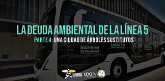 La deuda ambiental de la L5 | Parte 4: Una ciudad de árboles sustitutos