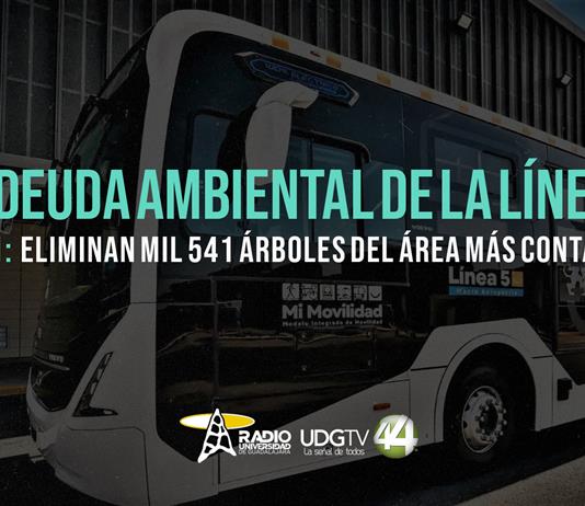 La deuda ambiental de la L5 | Parte 1: Eliminan mil 541 &aacute;rboles del &aacute;rea m&aacute;s contaminada